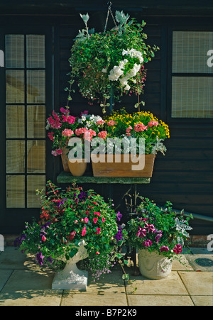 Un assortimento di contenitori piantati su una terrazza giardino Foto Stock