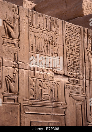 Carving a parete di chirurghi strumenti Kom Ombo tempio Foto Stock