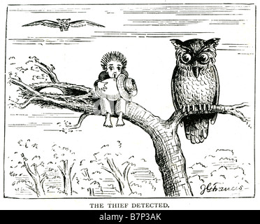Ladro rilevato ramo di albero owl boy nascosta uovo stola pizzicato prese hat tree cartoon fantasy catturati Foto Stock