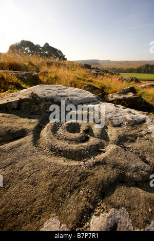 Coppa di epoca preistorica e anello segna l arte rupestre scolpite sulla roccia a Brigantium Northumberland England Regno Unito Foto Stock