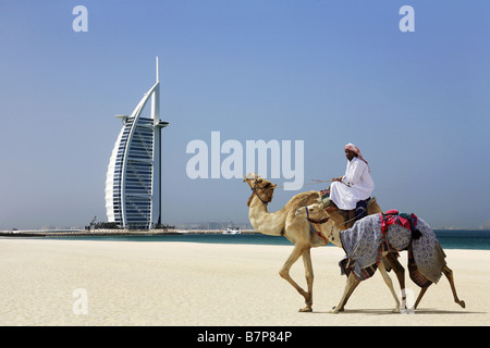 Cammelli passeggiate sulla spiaggia con il Burj al Arab Hotel in background, Dubai Foto Stock
