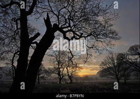 Misty tramonto con il profilarsi di alberi e lontana collina su un pomeriggio invernale vicino a Killin Perthshire Scozia UK Foto Stock