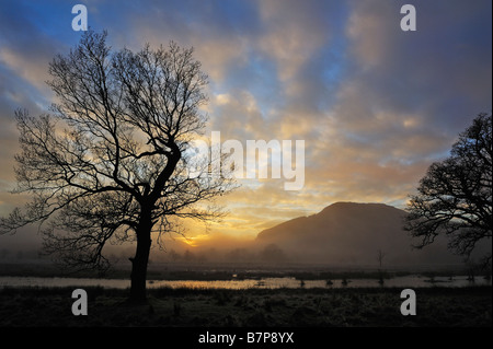 Misty tramonto con il profilarsi di alberi e lontana collina su un pomeriggio invernale vicino a Killin Perthshire Scozia UK Foto Stock