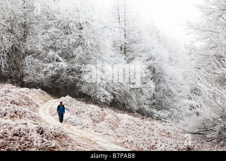 Walker con alberi in inverno coperto di brina trasformata per forte gradiente Blorenge Wales UK Foto Stock