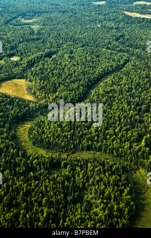 Il percorso del fiume visto dall'aria, nel Parco Nazionale di Denali, a metà strada tra Talkeetna e l'Alaska Range, Alaska, Stati Uniti d'America. Foto Stock