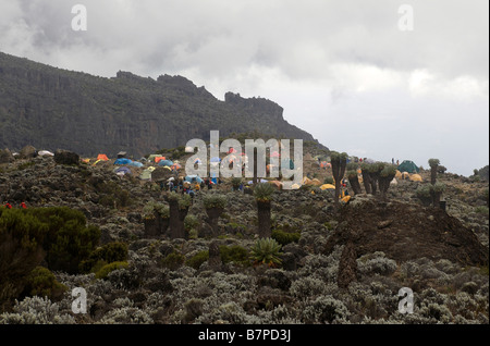 Barranco camp sul percorso Machame Kilimanjaro Tanzania Foto Stock