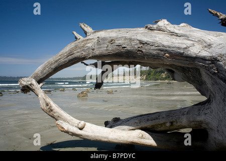 BRITISH COLUMBIA - Florencia Bay alla fine del sentiero Willowbrace in Pacific Rim National Park Reserve Vancouver Island. Foto Stock