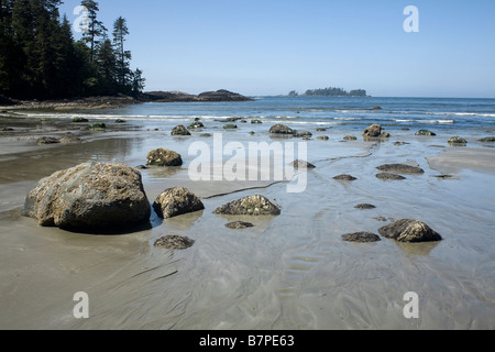 BRITISH COLUMBIA - Florencia Bay alla fine del sentiero Willowbrace in Pacific Rim National Park Reserve Vancouver Island. Foto Stock