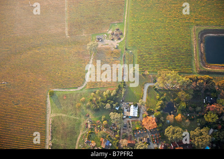 Vista aerea di vigneti della Napa Valley. In California, Stati Uniti d'America. Foto Stock