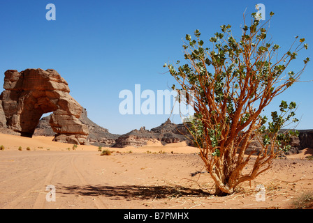 Fozzigiaren arco naturale nel Tadrart Acacus Foto Stock