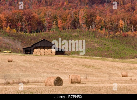 Il vecchio fienile e balle di fieno in Spring City Tennessee Foto Stock