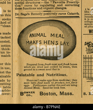 1893 Giornali antichi annuncio per le farine animali da Bowker Co. di Boston, Massachusetts. Foto Stock