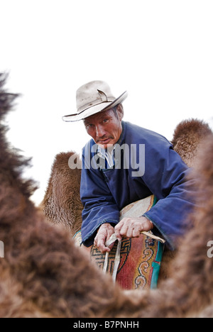 Il mongolo uomo arrivare i cammelli pronto per una corsa, deserto dei Gobi, Mongolia. Foto Stock