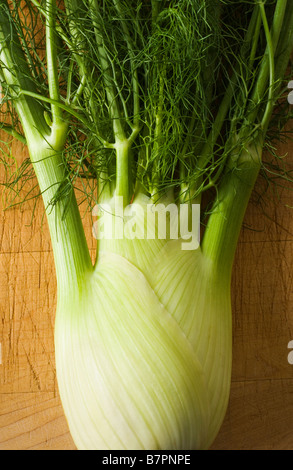 Studio nature morte di finocchio su un tagliere Foto Stock