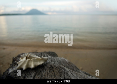 Vista di Manado Tua vulcano dalla spiaggia di Siladen Resort & Spa, Sulawesi Foto Stock