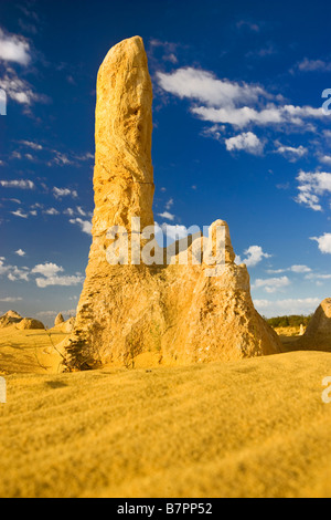 Roccia calcarea formazioni nel Deserto Pinnacles nel Nambung National Park, nei pressi di Cervantes, 245km a nord di Perth. Foto Stock