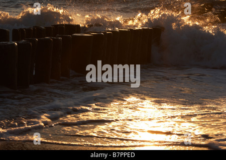 grandi onde Foto Stock