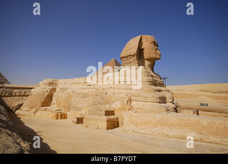 Il Cairo, Egitto. Una vista della Sfinge a Giza. 2009. Foto Stock