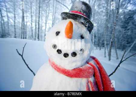 Pupazzo di neve con sciarpa rossa e nera top hat in piedi di fronte a coperto di neve la foresta di betulla, inverno, Eagle River, Alaska, Stati Uniti d'America. Foto Stock