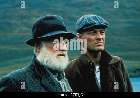 Il campo Anno: 1990 - Irlanda / UK Direttore: Jim Sheridan Richard Harris, Sean Bean Foto Stock