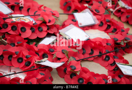 Papaveri round War Memorial Sheffield City Centre South Yorkshire Inghilterra Foto Stock