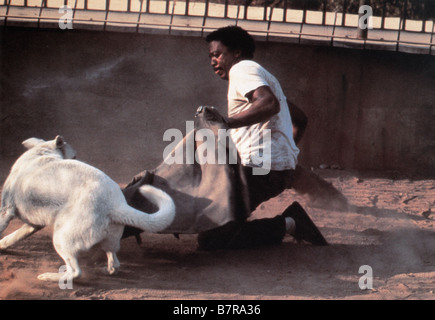 Cane bianco Anno: 1982 USA Paul Winfield Direttore: Samuel Fuller Foto Stock