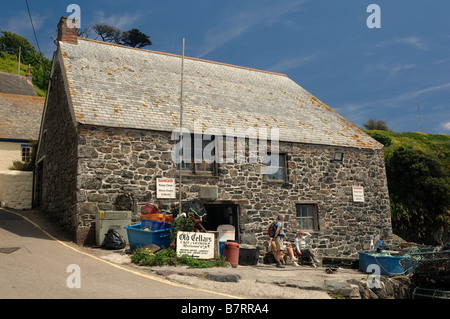 Cadgwith Foto Stock