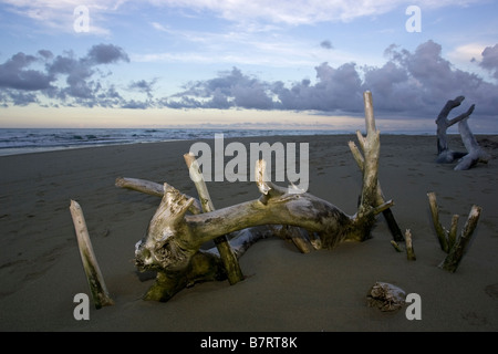 Cabarete East al tramonto Foto Stock