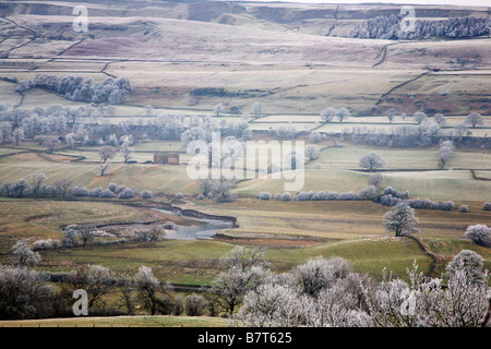 Frosty giorno in Wensleydale Yorkshire Dales Inghilterra Foto Stock