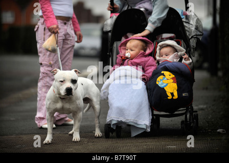 Due giovani madri con bambini ed una STAFFORDSHIRE bull terrier nel quartiere SOUTHMEAD DI BRISTOL REGNO UNITO Foto Stock