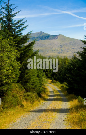 Il vertice di Snowdon visto da Beddgelert foresta del Galles Foto Stock