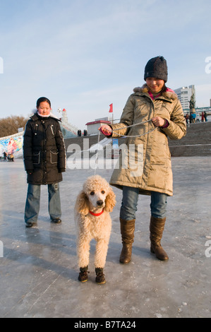 Una donna cammina il suo animale domestico leccapiedi sulla congelati fiume Songhua Harbin Heilongjiang provincia della Cina Foto Stock