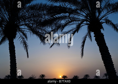 Un tramonto incorniciato da palme in un paradiso tropicale Foto Stock