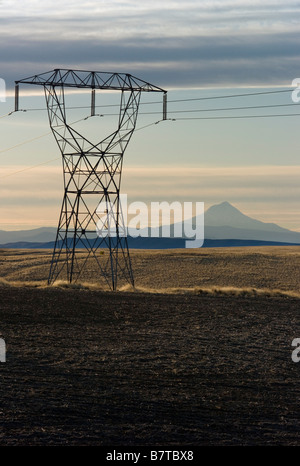 Alta linee di alimentazione del Monte Cofano Oregon USA Foto Stock