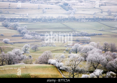 Frosty giorno in Wensleydale Yorkshire Dales Inghilterra Foto Stock