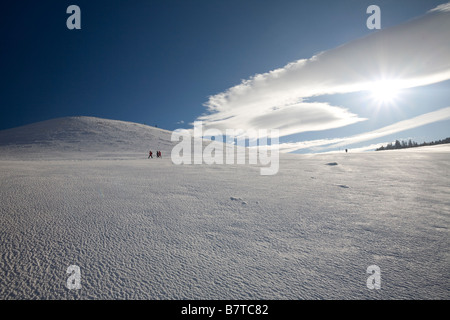 In inverno, snowshoers avente un viaggio in Auvergne (Puy-de-Dôme - Francia). Promeneurs en raquettes l'Hiver en Auvergne (Francia). Foto Stock