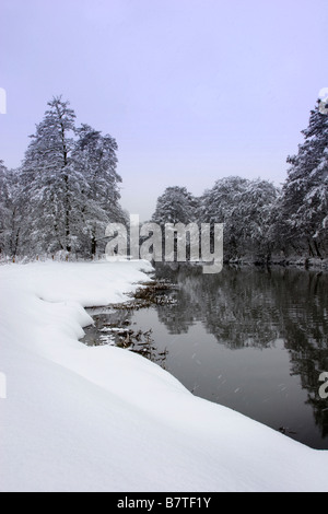 La nevicata sul fiume Wey in Guildford Foto Stock