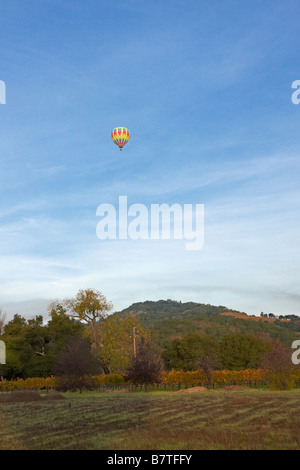 Mongolfiera vola sopra la Valle di Napa. In California, Stati Uniti d'America. Foto Stock