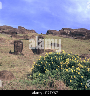 Ranu Raraku Moais all'interno del cratere Foto Stock