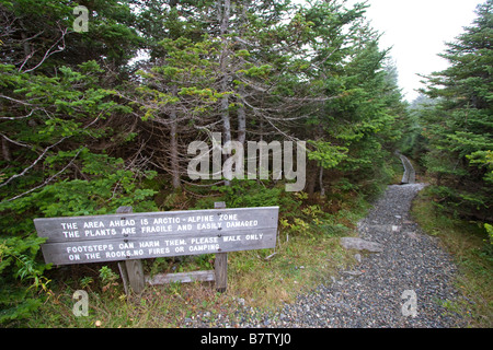 Lungo il sentiero nord a Mount Mansfield 5 Ottobre 2008 Foto Stock