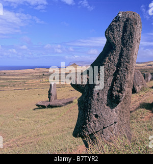 Ranu Raraku Moais Foto Stock