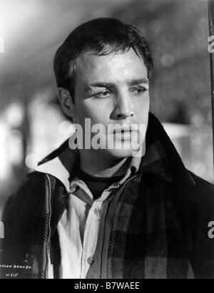 Sul lungomare Anno: 1954 USA Marlon Brando direttore: Elia Kazan Foto Stock