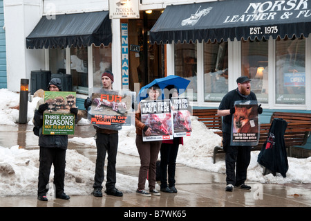 I manifestanti di pelliccia su Main Street, Città Vecchia, Park City, Utah. Foto Stock