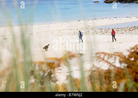 Un giovane a piedi il loro cane lungo Pentle Bay beach Tresco Isole Scilly Cornwall Inghilterra REGNO UNITO Foto Stock