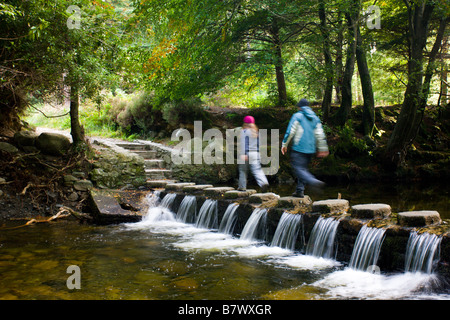 Walkers attraversando pietre miliari su un flusso a cascata nella foresta di Tollymore Park contea di Down Irlanda del Nord Foto Stock