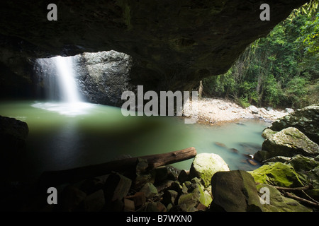 Arco Naturale Springbrook National Park Queensland Australia Queensland Australia Foto Stock