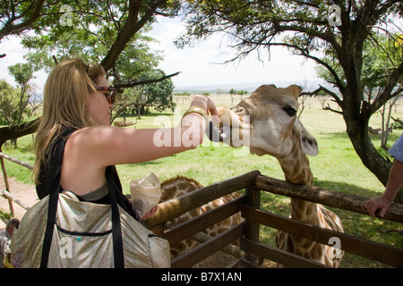 rifiuta di Wes Foto Stock