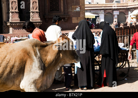 Le donne musulmane di shopping in un mercato locale in Rajasthan, India. Foto Stock