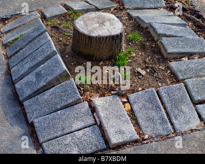 Un piccolo ceppo di albero rimane, circondata da mattoni e suolo, dopo un albero è stato tagliato in giù su un marciapiede in città. Foto Stock