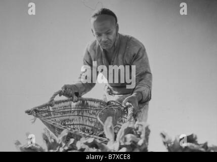 Visages d'Orient La Buona Terra Anno: 1937 USA Direttore: Sidney Franklin Foto Stock